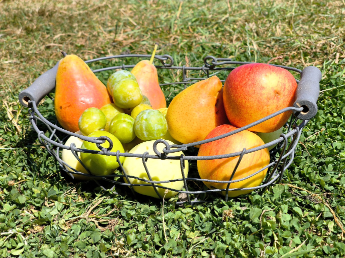 Panier de fruits locaux Panier de fruits locaux